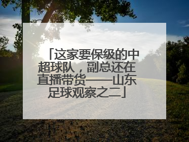 这家要保级的中超球队，副总还在直播带货——山东足球观察之二